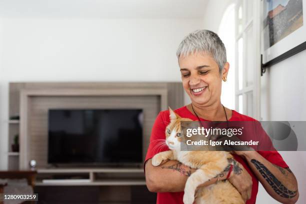 holding kitten in lap - old lady cat stock pictures, royalty-free photos & images