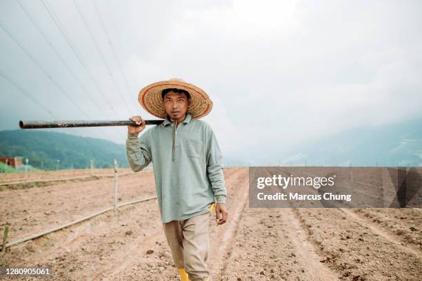 asian male farmer holding garden hoe on shoulder at soil fields - hoes with attitude stock pictures, royalty-free photos & images