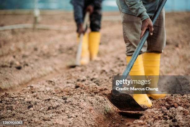 Using A Digging Hoe Digging Hoe Photos and Premium High Res Pictures - Getty Images