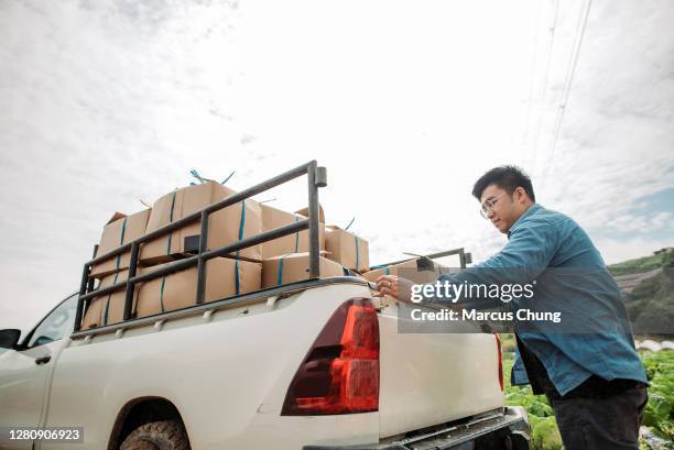 asian chinese male farmer getting ready to delivery packs of freshly harvested goods - pick up truck stock pictures, royalty-free photos & images