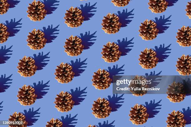 repeated pine cones on the blue background - christmas still life stock-fotos und bilder