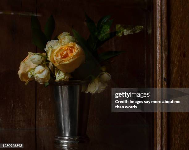 a silver vase with wilting roses inside a cupboard. still life. - cesar flores fotografías e imágenes de stock
