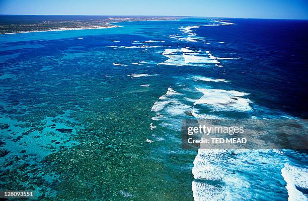 the azure waters of ningaloo reef, ningaloo marine park, western australia. - regional western australia stock pictures, royalty-free photos & images