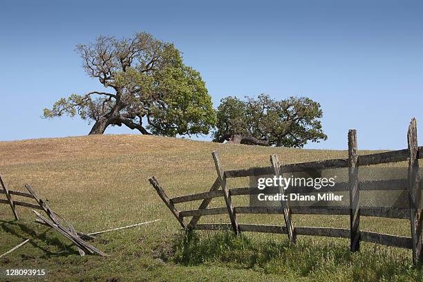 oaks near petaluma, ca - damaged fence stock pictures, royalty-free photos & images