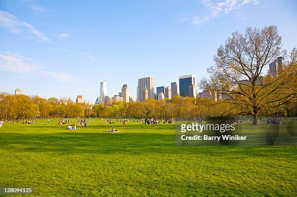 sheep meadow in late afternoon in spring, with office towers of midtown, central park, new york, new york - sheep meadow central park stock pictures, royalty-free photos & images