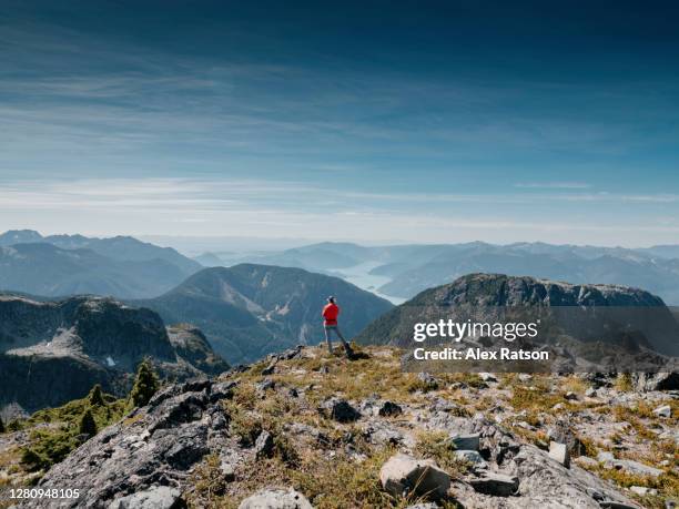 mountain climber stands on top of co-pilot mountain near the sea to sky gondola and looks out at howe sound and the coastline of british columbia - canadian wilderness foto e immagini stock