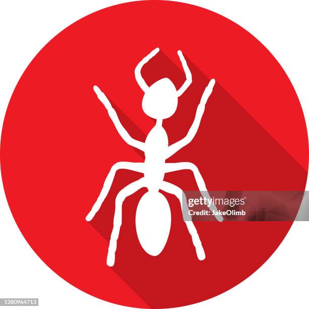 red ant icon silhouette - crawling icon stock illustrations