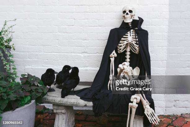 skeleton rests on bench - funny skeleton stock pictures, royalty-free photos & images