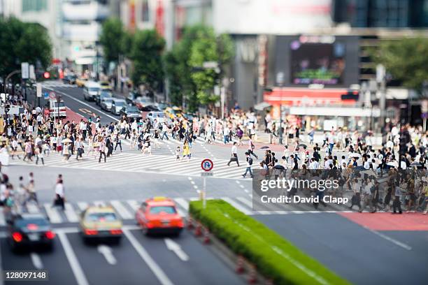 the famous six way pedestrian crossing photographed with a tilt lens in shibuya, tokyo, japan - tilt shift stock pictures, royalty-free photos & images