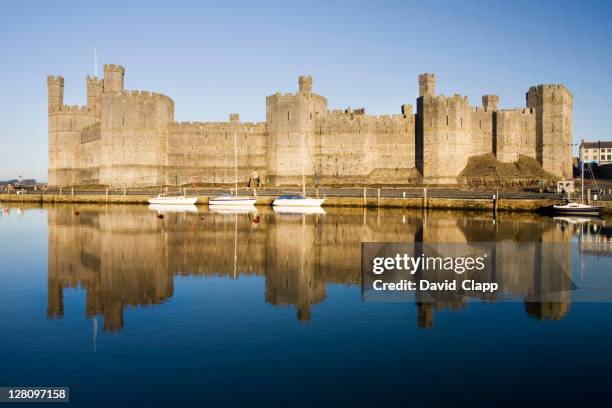 caernarfon castle in still morning reflections, caernarfon, north wales, uk - caernarfon castle stock pictures, royalty-free photos & images