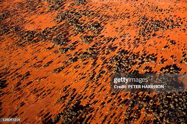 aerial outback scene, qld, australia - australische outback stockfoto's en -beelden