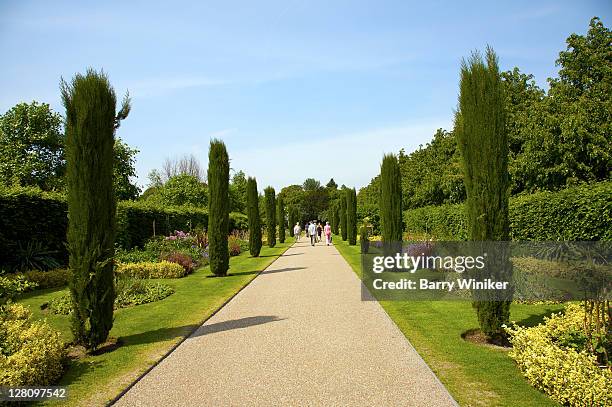 path with people, regent's park, london, united kingdom - regents park stock pictures, royalty-free photos & images