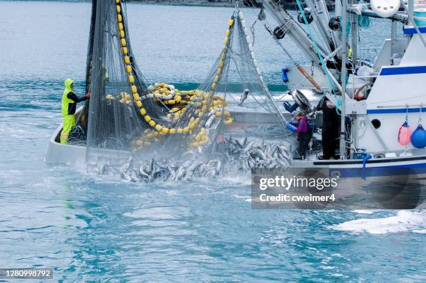 アラスカの商業漁業 - fishing ストックフォトと画像