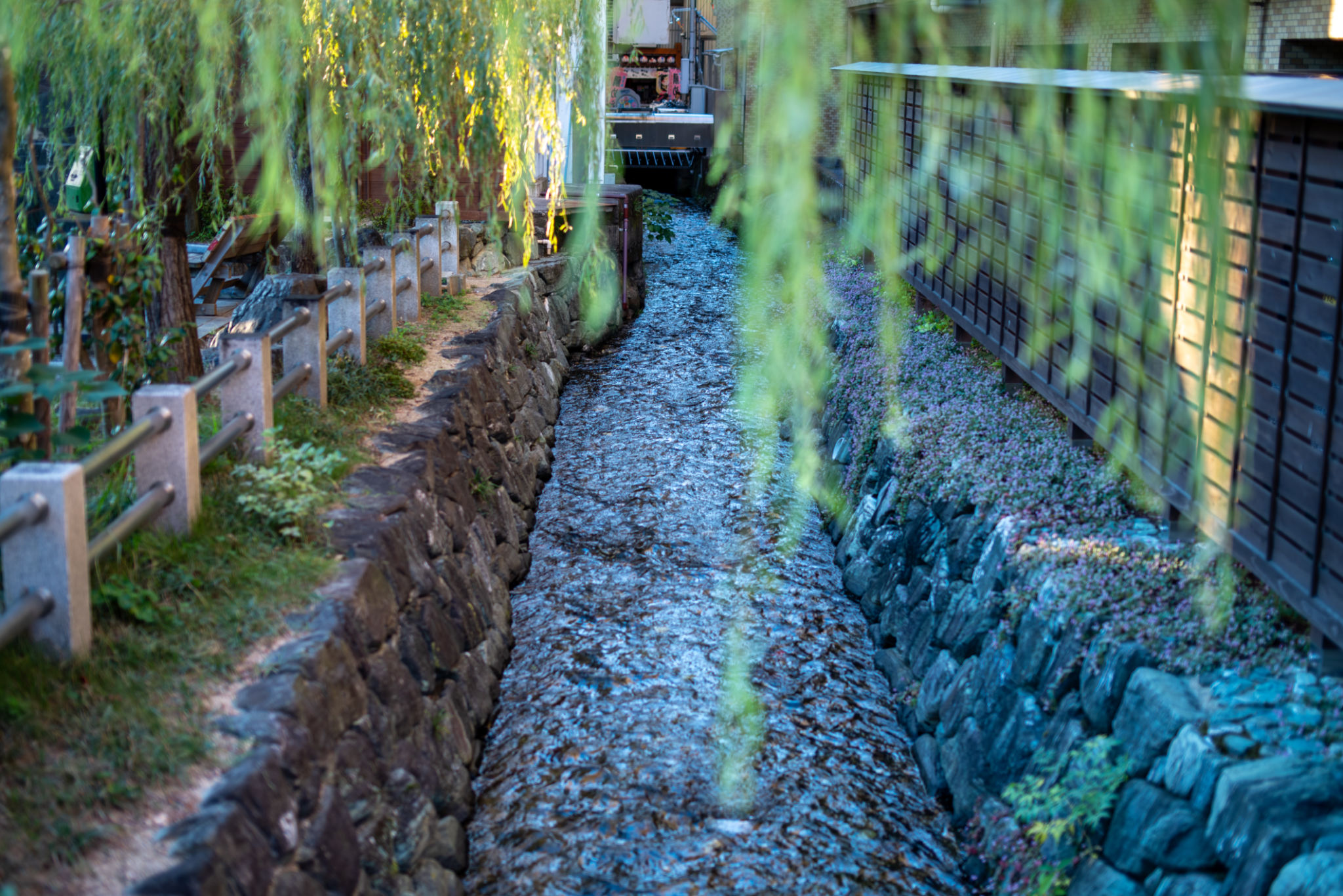 onsen shikoku