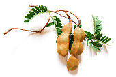 top close view of fresh tamarind & leaves bunch isolated on plain background