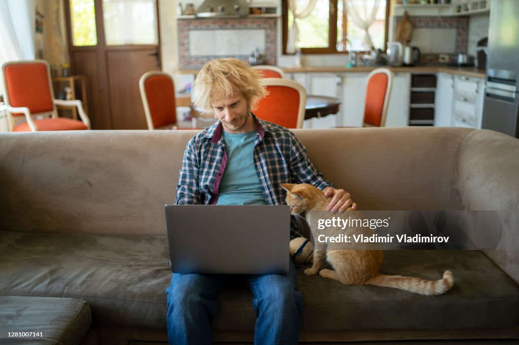 Surfen im Netz mit der Katze