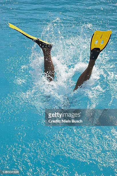 diving with yellow flippers - diving flippers stock pictures, royalty-free photos & images