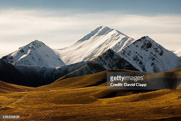 moorland and snow capped mountains at lindis pass, south island, new zealand - bergkette stock-fotos und bilder