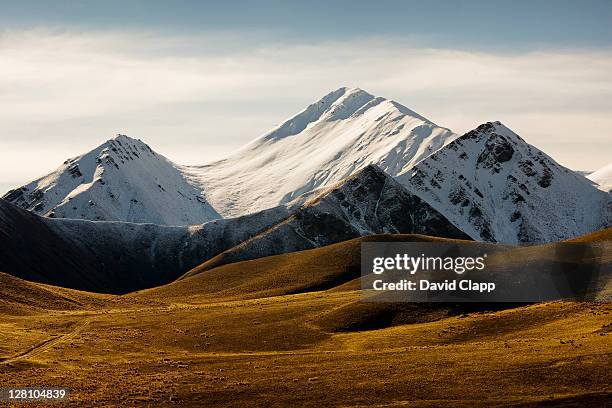 moorland and snow capped mountains at lindis pass, south island, new zealand - mountain range stockfoto's en -beelden