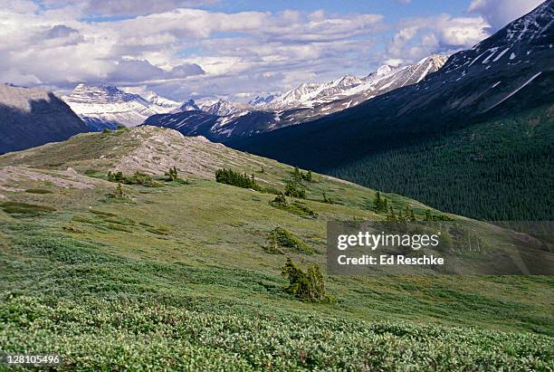 Alpine Zone 32 Climate Zones By Altitude Stock Photos, High-Res Pictures, and ...