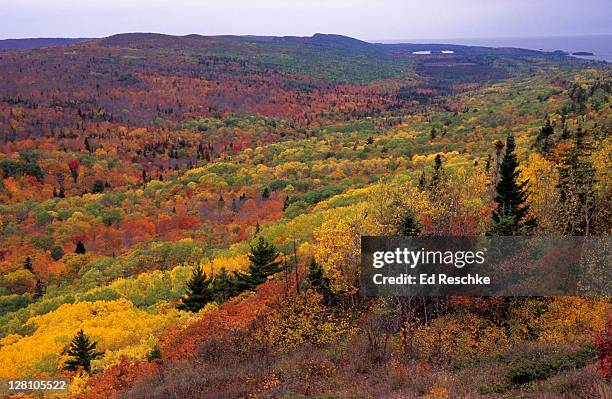 keweenaw peninsula, upper peninsula of michigan, brockway mountain drive. mixed eastern deciduous and northern coniferous forest. shows lake superior. - árbol de hoja caduca fotografías e imágenes de stock