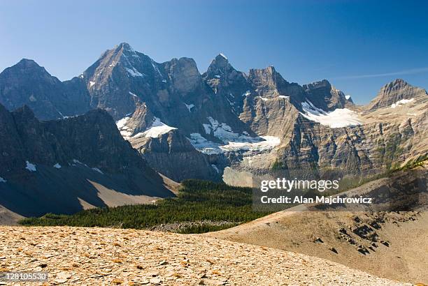 mount goodsir, 3567m (11,703). yoho national park, british columbia, canada - kootenay nationalpark stock-fotos und bilder