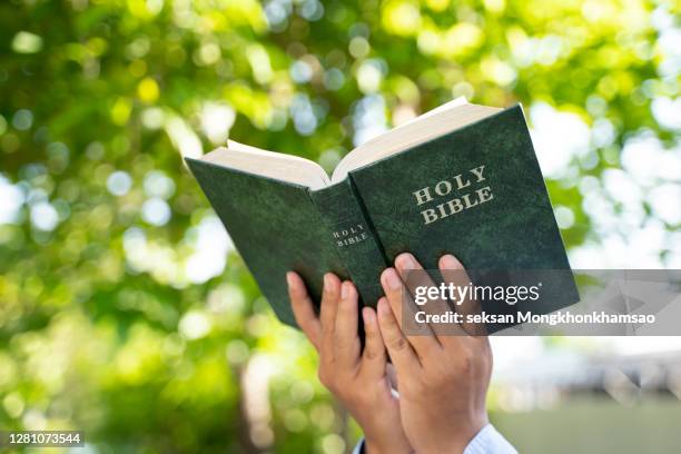 reading holy bible - bible stock pictures, royalty-free photos & images