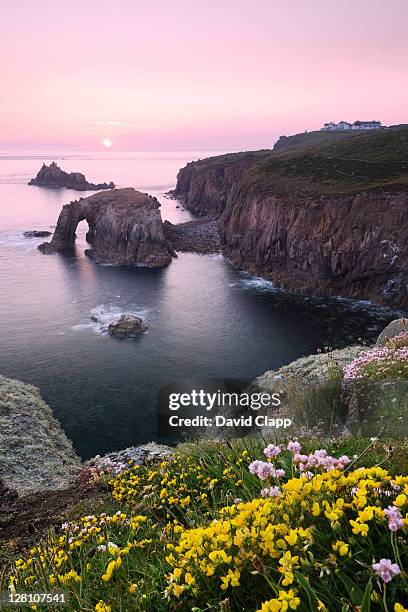 coastal flower: birds foot trefoil (lotus sp.) and thrift (armeria maritima) on cliffs at lands end, looking towards natural arch enys dodnan, the armed knight and the lands end visitors centre, cornwall, england, uk - lands end cornwall stock pictures, royalty-free photos & images