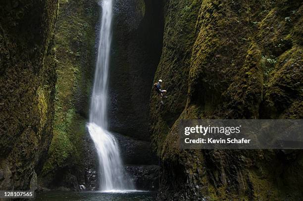 oneonta falls. autumn. climber rappelling down wall. columbia gorge national recreation area. oregon. usa - oneonta falls stock pictures, royalty-free photos & images