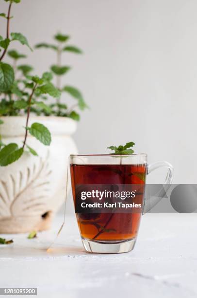 hot tea on a transparent cup with mint plant on a rustic table and white background - steep stock pictures, royalty-free photos & images