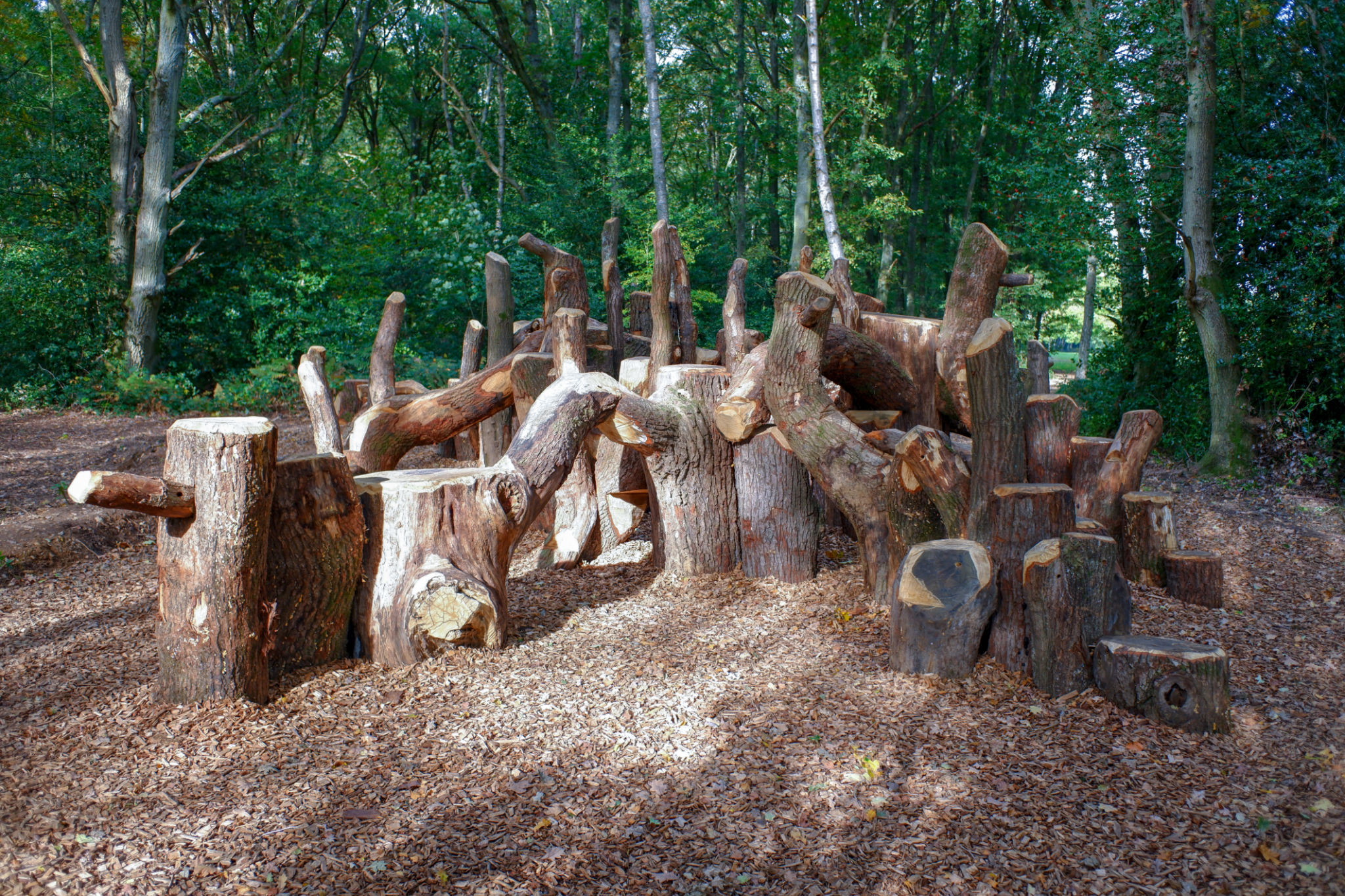 natural pet play area