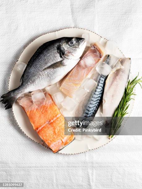 verse vis en zeevruchten regeling op bord, vis, zeevruchten, visserij, rauwe visfilet, rauwe vismix - frozen fish fillets stockfoto's en -beelden