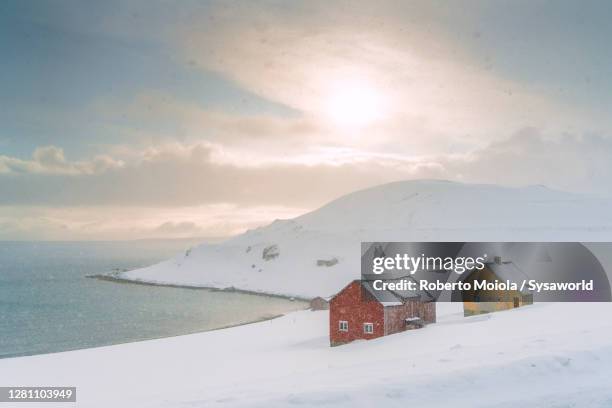 snow blizzard on huts by arctic sea, nordkapp, finnmark, norway - arctic ocean stock-fotos und bilder