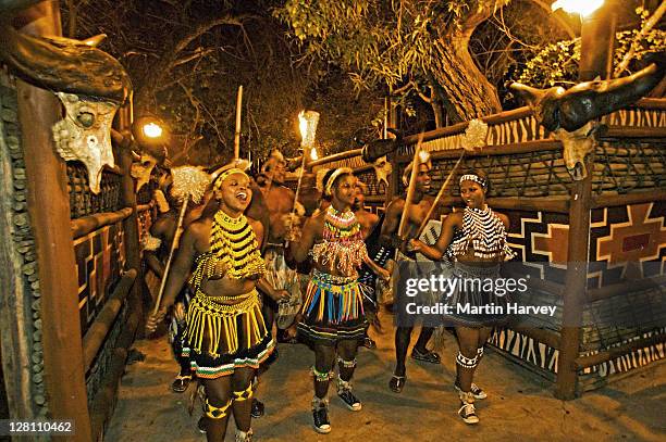 zulu women dancing in costume of a young zulu maiden. the entire outfit is made of beads. this costume is worn during festivals or dancing ceremonies. lesedi cultural village near johannesburg south africa - south africa zulu woman foto e immagini stock