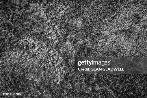 Thick Textured Rug Thick Rug Texture High-Res Stock Photo - Getty Images