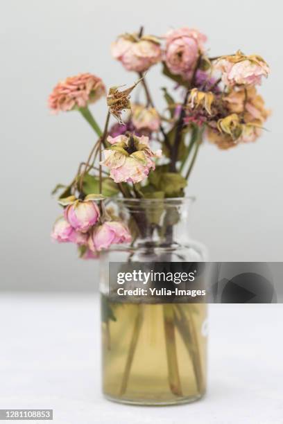dying bouquet of flowers in a vase - dead plant stock pictures, royalty-free photos & images