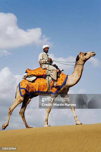 camel with driver walking through the great thar desert outside jaisalmer, rajasthan, india. (mr) - camel foto e immagini stock