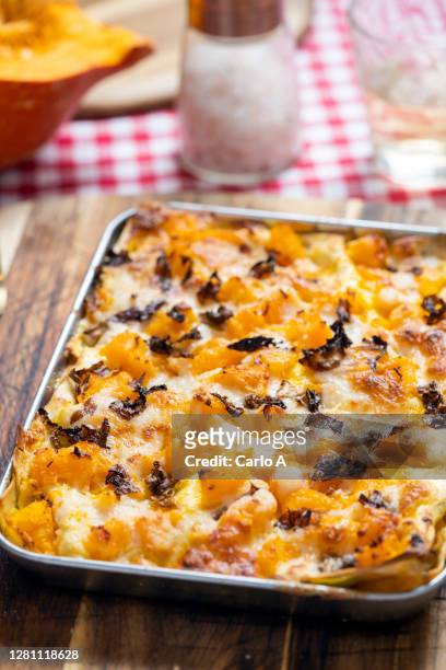 home made lasagna with squash butternut and radicchio - radicchio stockfoto's en -beelden
