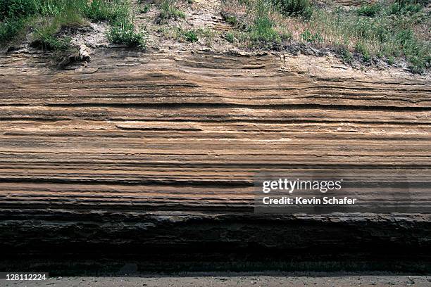 glacial lake. varve deposits. alternating silt/clay layers. discovery park, seattle, washington - felsformation stock-fotos und bilder