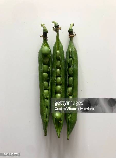peas in a pod 2 - 2 peas in a pod stock pictures, royalty-free photos & images