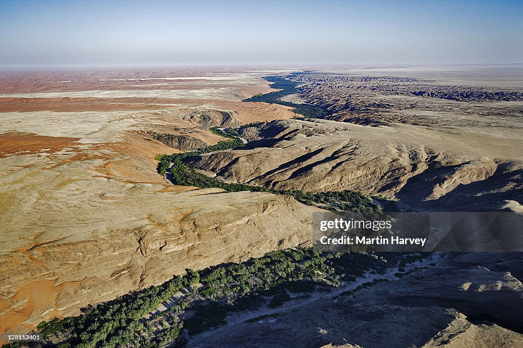 Aerial view of greenery along the Kuiseb River in the Namib desert. This river separates the gravel desert from the sand desert. Namib Naukluft National Park, Namibia.