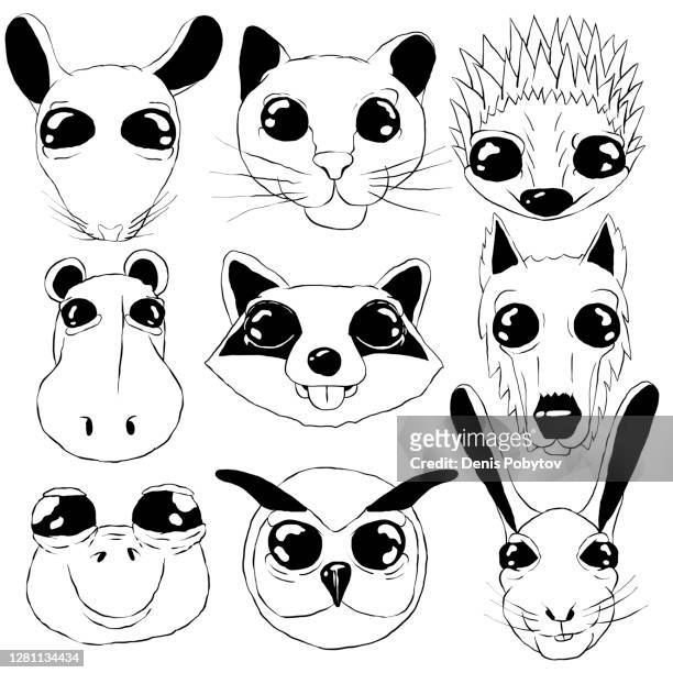 illustrations, cliparts, dessins animés et icônes de ensemble d’icônes en noir et blanc - croquis d’animaux avec de grands yeux. - by racoon on white