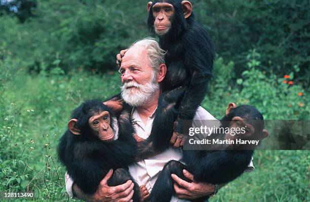 David Siddle Are Monkeys Omnivores Photos and Premium High Res Pictures - Getty Images