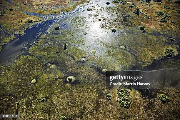 aerial view of islands and waterways of the okavango delta. circular salt islands form when to water evaporation and most of the vegetation dissapears. botswana - okavango delta stock pictures, royalty-free photos & images