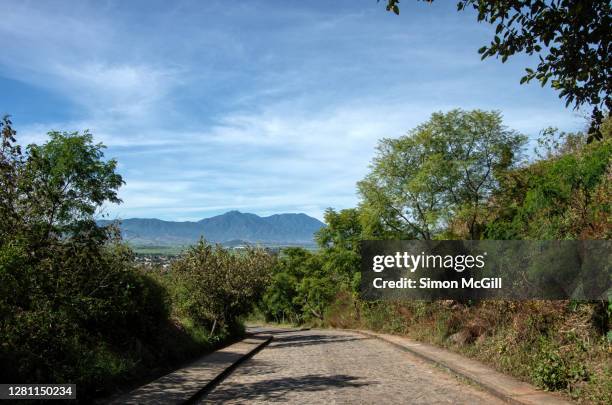 los guachimontones, teuchitlán, jalisco, mexico - pre columbian stock pictures, royalty-free photos & images