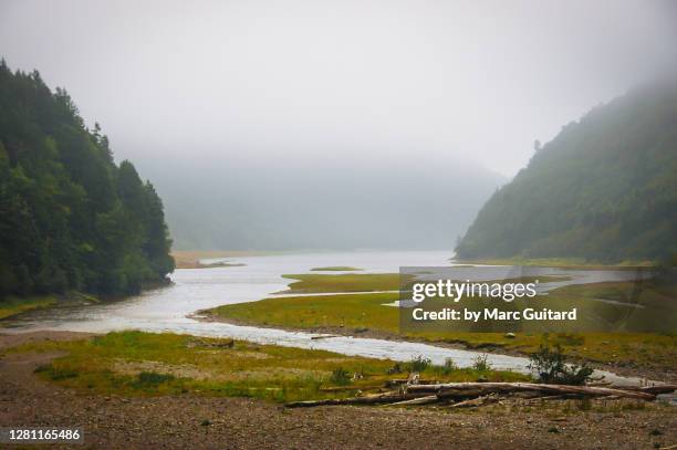 a river flowing through salt marshes near the bay of fundy, new brunswick, canada - new brunswick canada 個照片及圖片檔