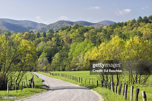 cades cove in the spring, hyatt lane, great smoky mountains national park, tennessee, usa - smokey mountain spring stock pictures, royalty-free photos & images