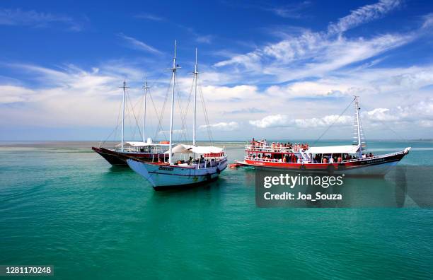 nautical passeui in the marine park of recife de fora - trancoso stock pictures, royalty-free photos & images