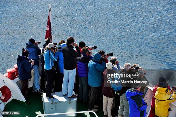 tourists watching and photographing a whale from the deck of g.a.p adventures ms explorer cruise ship. antarctica. (pr: property released). - passagier wasserfahrzeug stock-fotos und bilder