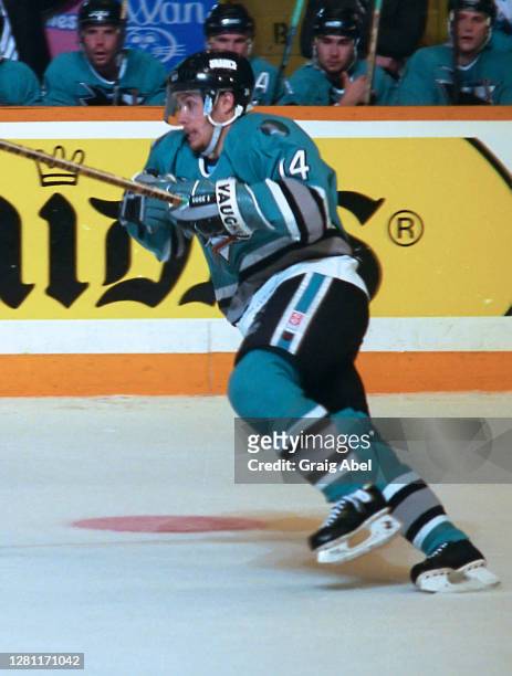 Ray Whitney of the San Jose Sharks skates against the Toronto Maple Leafs during 1993-1994 NHL playoff game action at Maple Leaf Gardens in Toronto,...